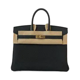 Hermes Birkin 25 Caban GHW